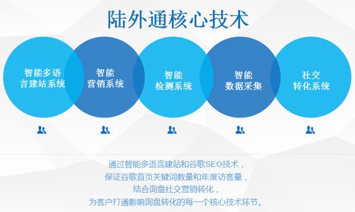 外貿(mào)網(wǎng)絡(luò)營銷推廣與建設(shè) 策略與實踐